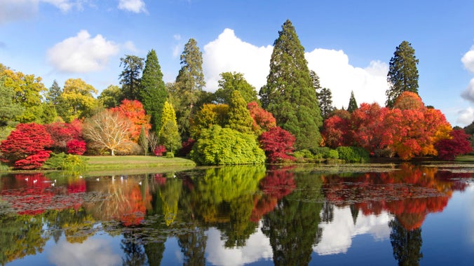 Trees display their autumn colour by the lake at Sheffield Park and Garden